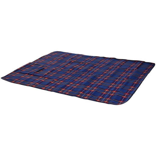 Patura pentru picnic Checker, 150x200 cm, poliester, mov