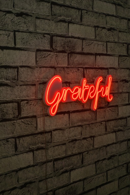 Decoratiune luminoasa LED, Grateful, Benzi flexibile de neon, DC 12 V, Rosu