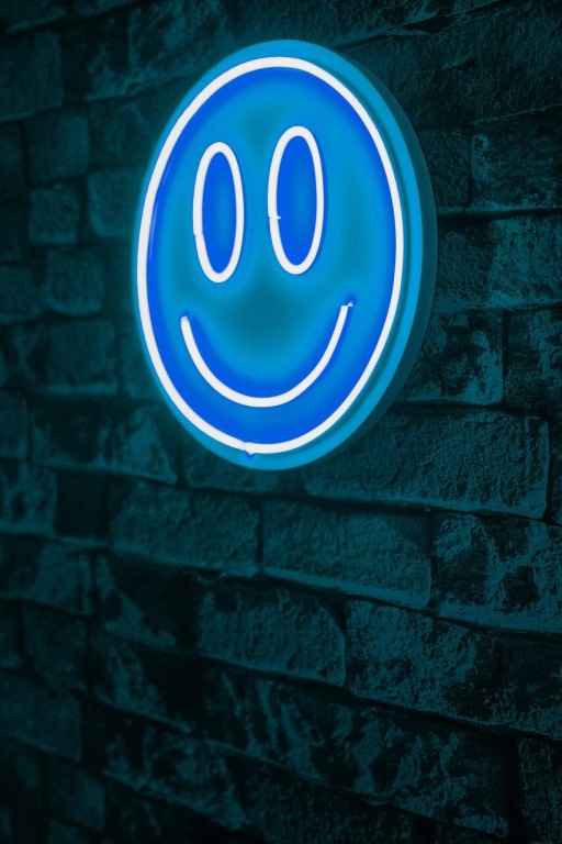 Decoratiune luminoasa LED, Smiley, Benzi flexibile de neon, DC 12 V, Albastru