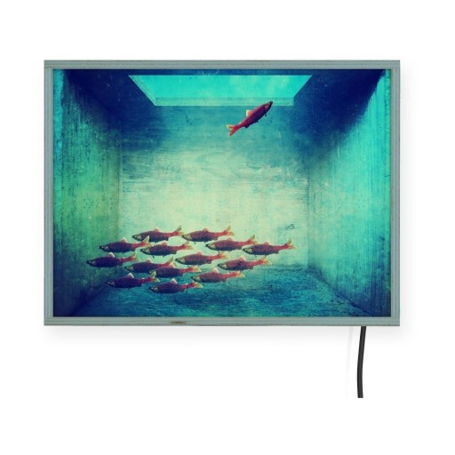 Decorațiune pentru perete cu lumini LED Surdic Free Fish, 40 x 30 cm