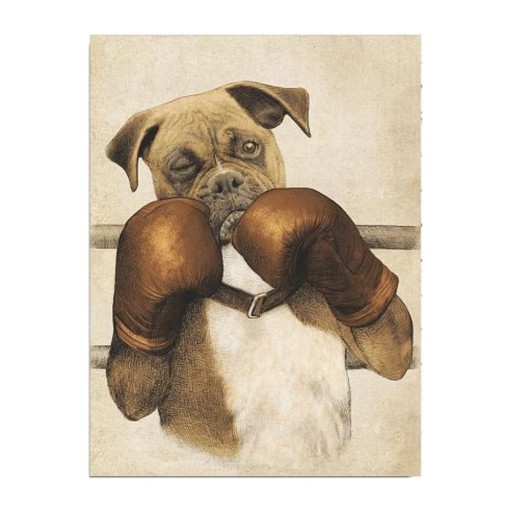 Tablou pe pânză Boxer, 30 x 40 cm