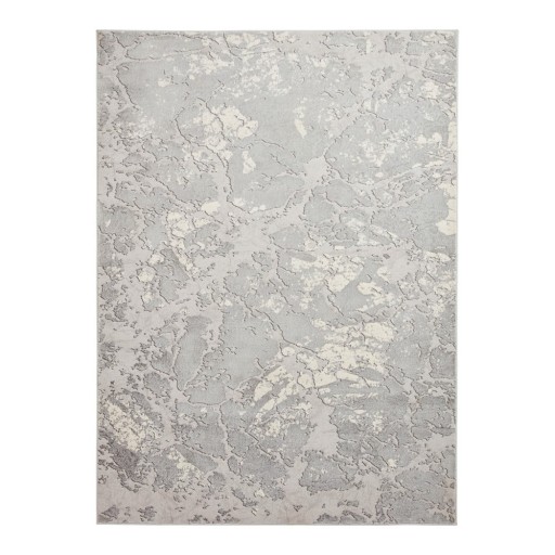 Covor gri/bej 170x120 cm Apollo - Think Rugs