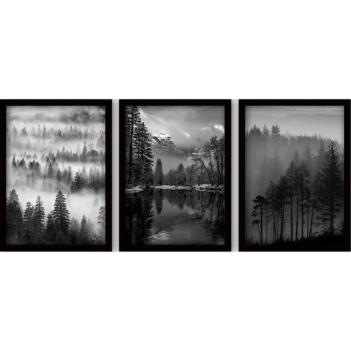 Tablouri 3 buc. 35x45 cm Black & White – Wallity