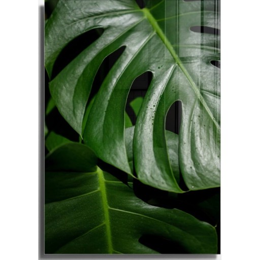 Tablou din sticlă 50x70 cm Monstera – Wallity