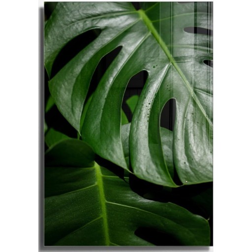 Tablou din sticlă 70x100 cm Monstera – Wallity