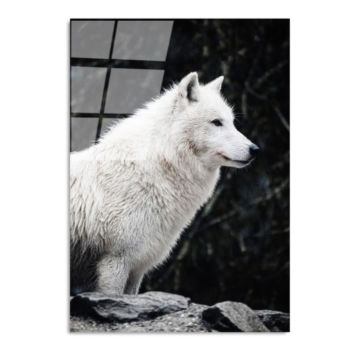 Tablou din sticlă 70x100 cm White Wolf – Wallity