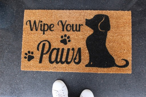 Covoras de intrare, Wipe Your Paws , 70x40 cm, Fibra de cocos, Maro / Negru