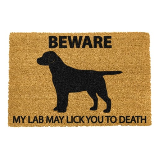 Covoraș de intrare din fibre de nucă de cocos 40x60 cm Labrador – Artsy Doormats