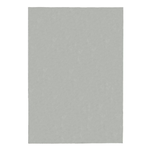 Covor gri deschis 80x150 cm – Flair Rugs