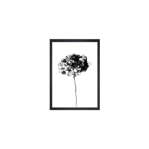 Tablou 24x29 cm Velvet Flower – Vavien Artwork