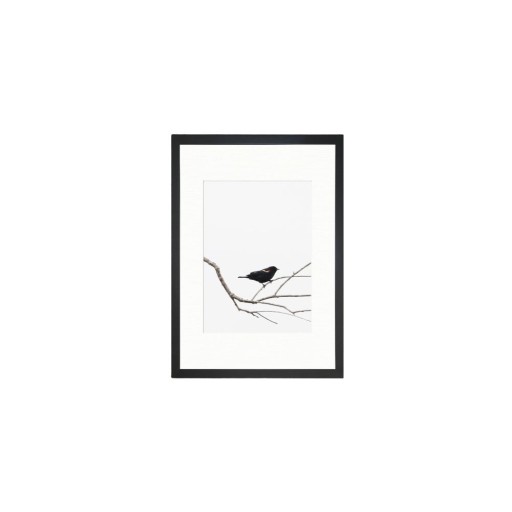 Tablou 24x29 cm Bird on the Branch – Vavien Artwork