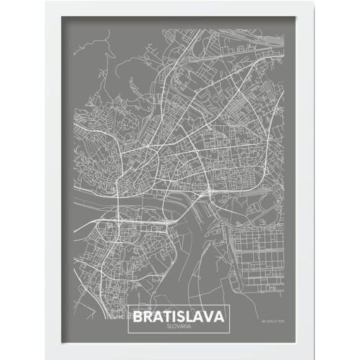 Tablou 40x55 cm Bratislava – Wallity